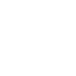 Stanford AIMI company logo.