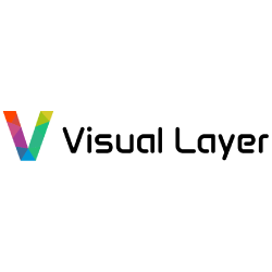 Visual Layer company logo.
