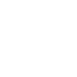IVP company logo